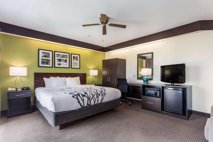 1 King Bed (11 of 11)