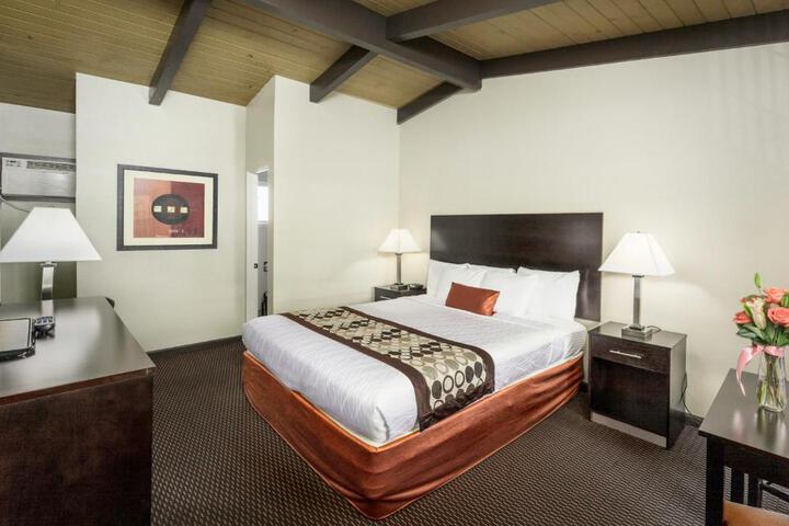 1 King Bed (11 of 12)