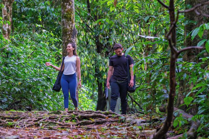 Hiking