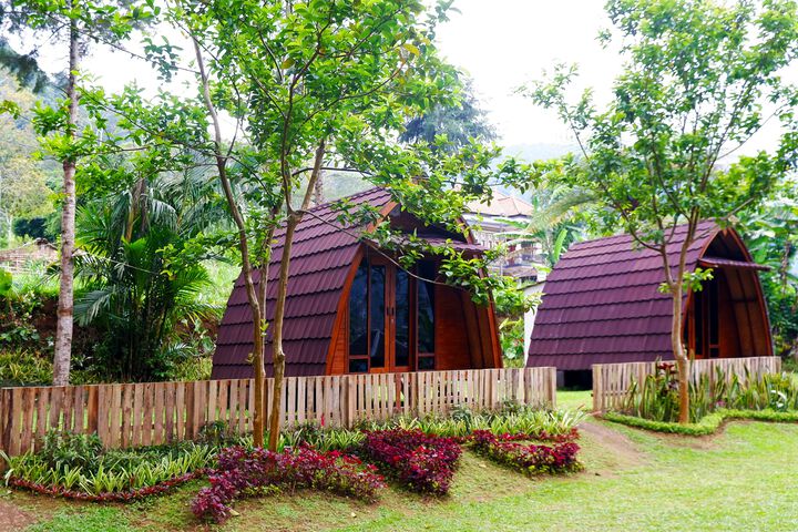 Oak Tree Bali