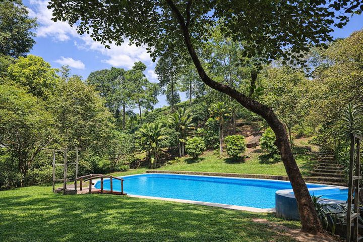 Pool 33 of 60