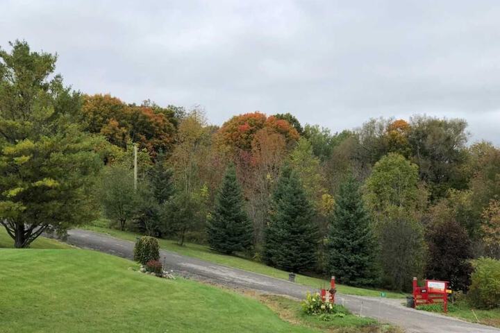 Property Grounds 38 of 52