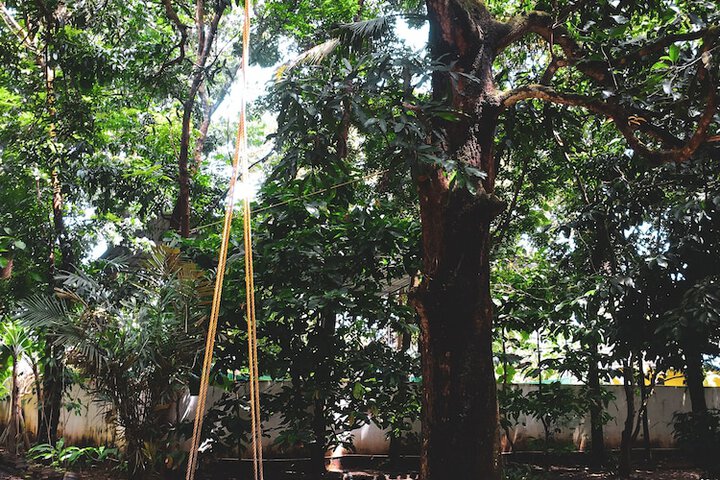 Children's activities