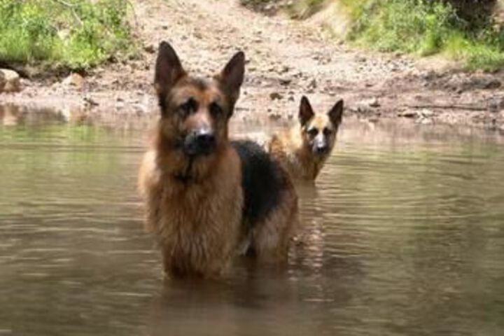 Property Grounds 18 of 29