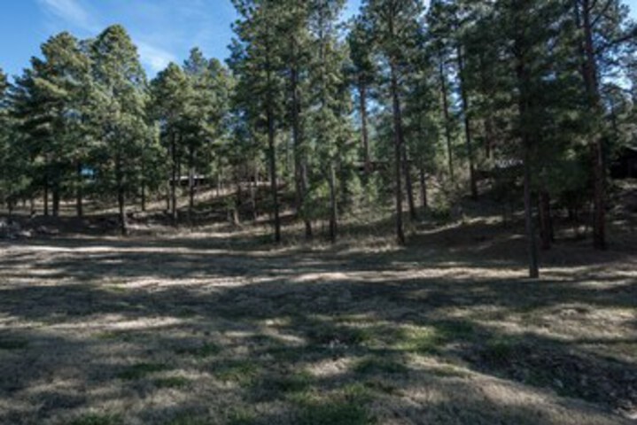 Property Grounds 17 of 23