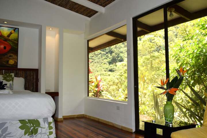 View from room