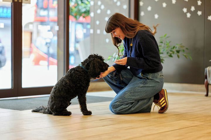 Pet Friendly 43 of 89