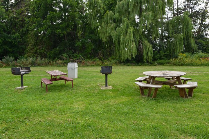 BBQ/picnic area