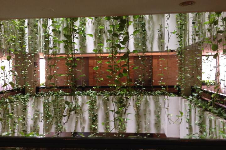 Lobby Photos