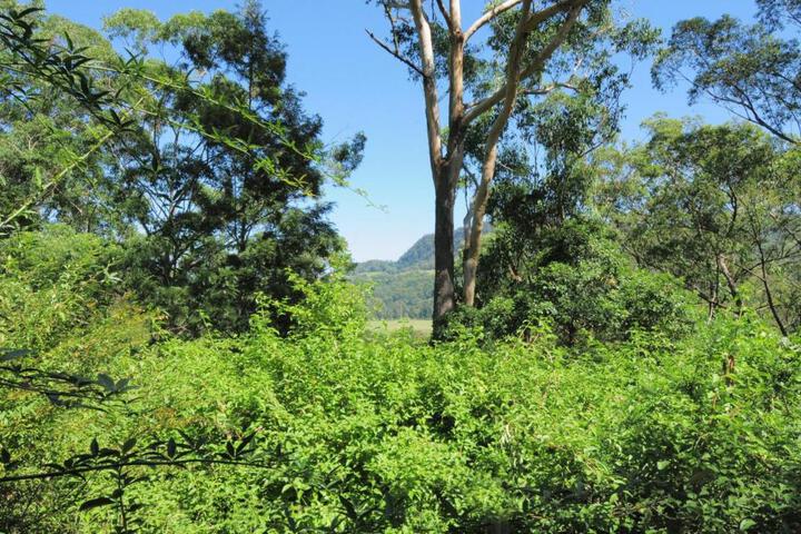 General 13 of 13