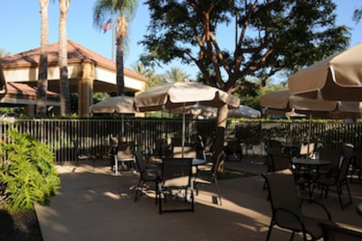 BBQ/picnic area