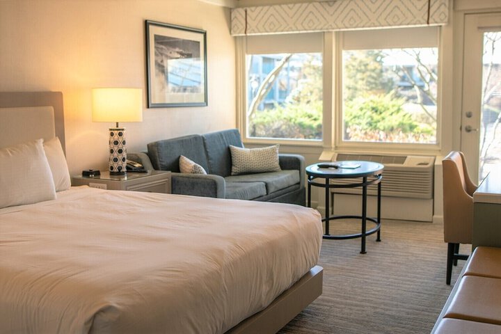 1 King Bed Resort View (8 of 9)