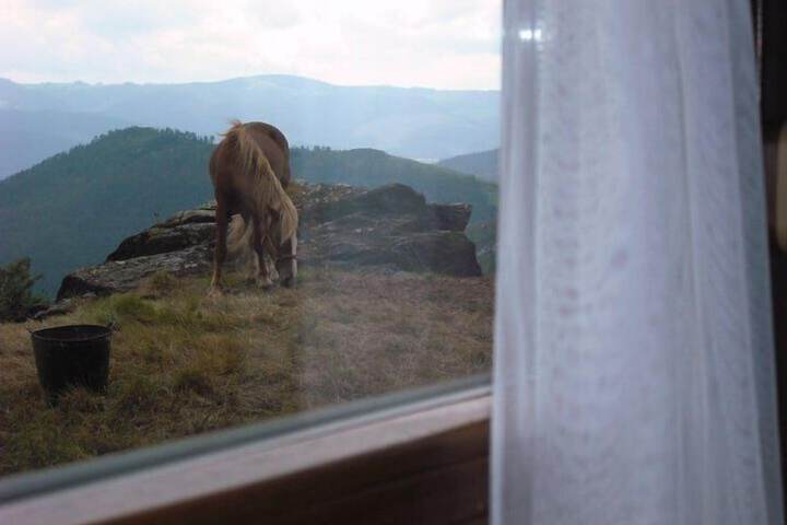 View from room