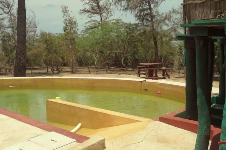 Pool 10 of 62