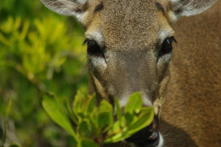 Property Grounds 10 of 13