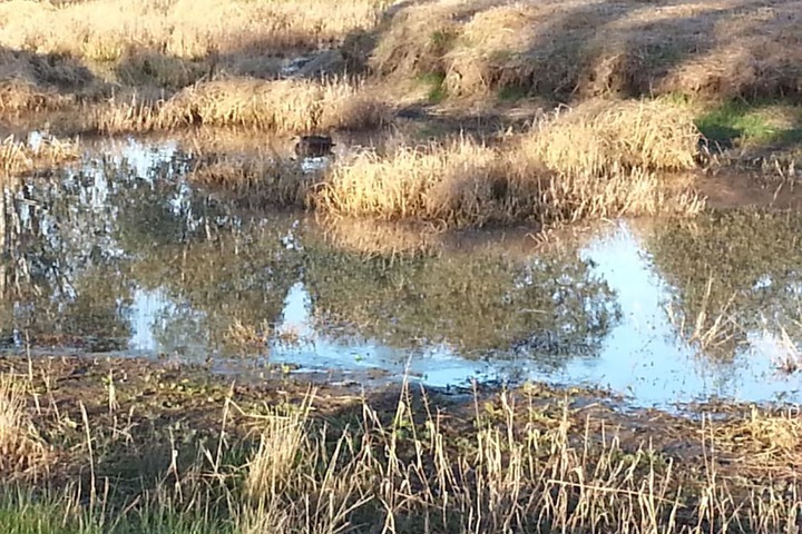 Property Grounds 16 of 22