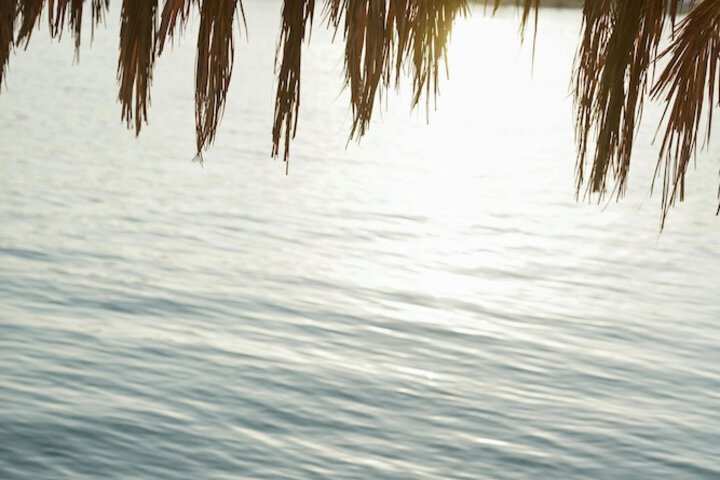 Property Grounds 131 of 156