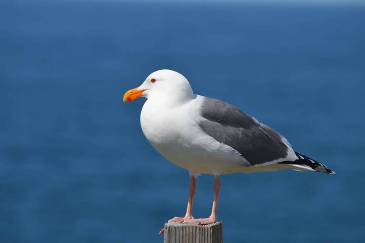 Property Grounds 67 of 91