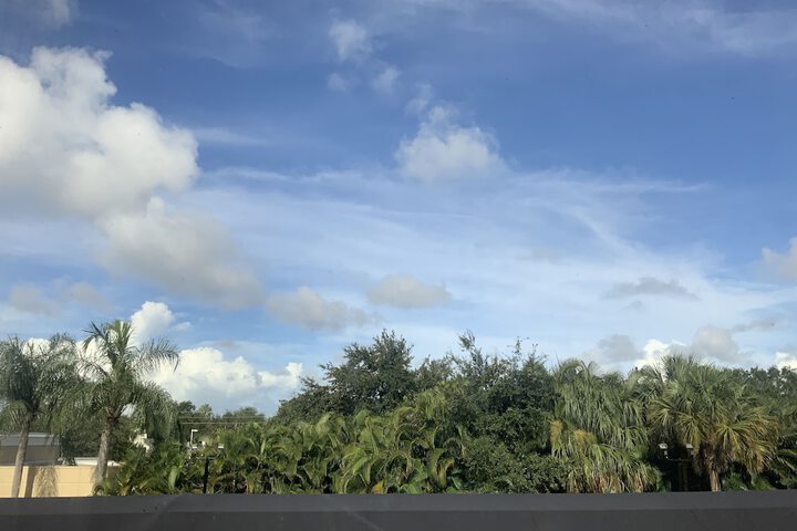 Courtyard view