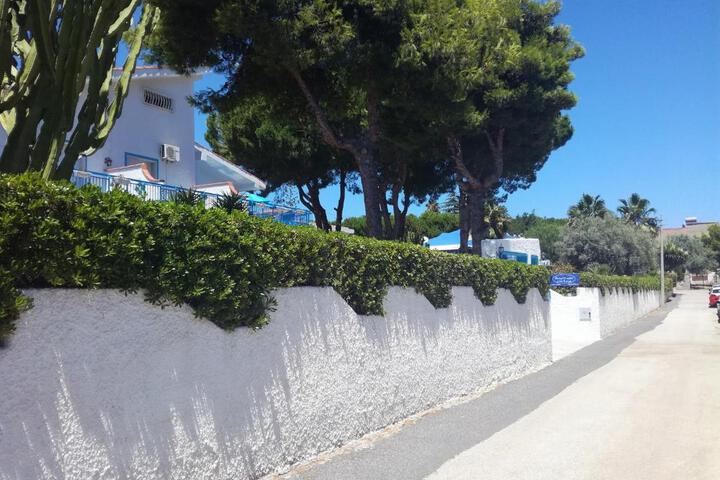 Photo 15