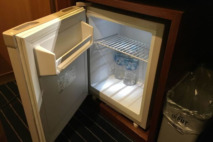 Mini-refrigerator