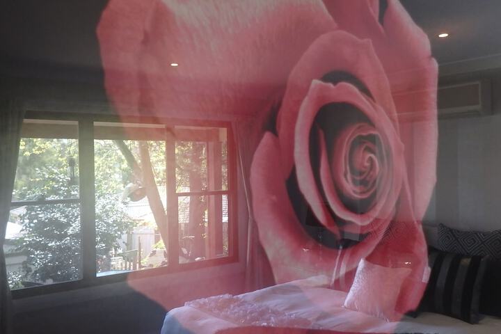 Room 4 of 36
