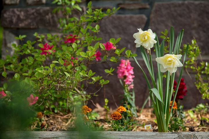 Property Grounds 21 of 28