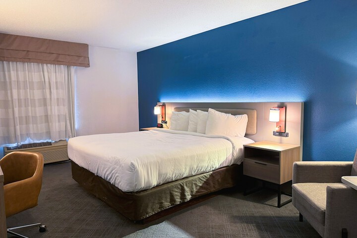 1 King Bed (8 of 13)