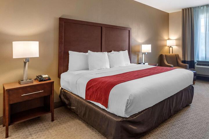 1 King Bed Accessible (7 of 20)