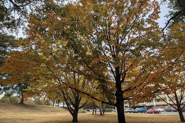 Property Grounds 44 of 52