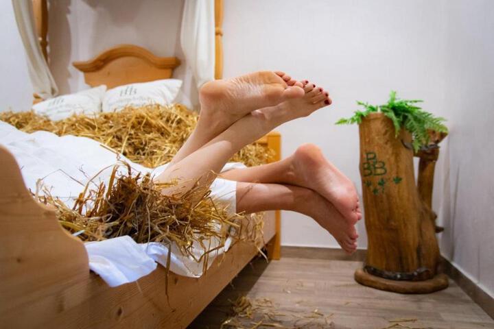 Spa and Wellness Pictures