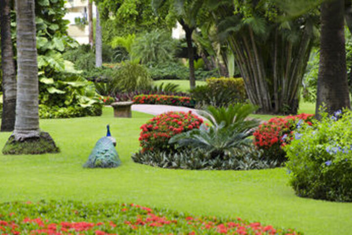 Spa and Wellness Pictures