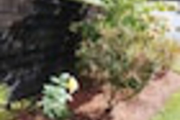 Property Grounds 224 of 246