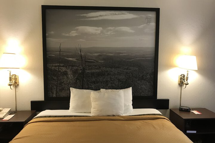 1 King Bed (9 of 13)