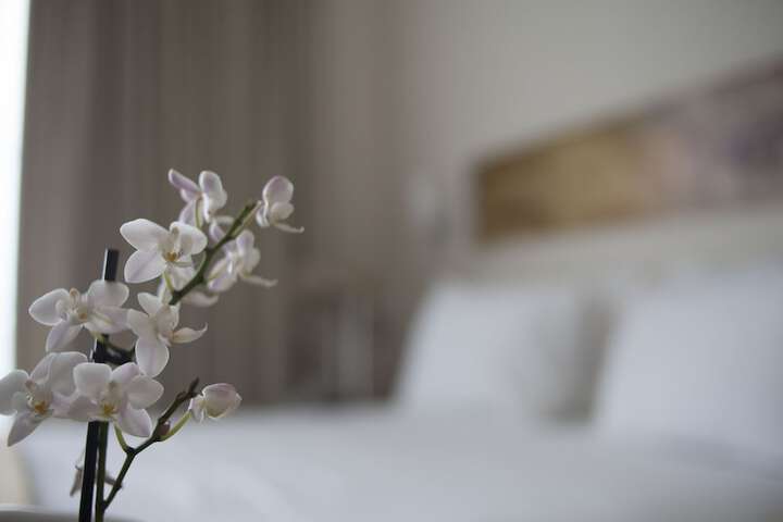 Room 4 of 29