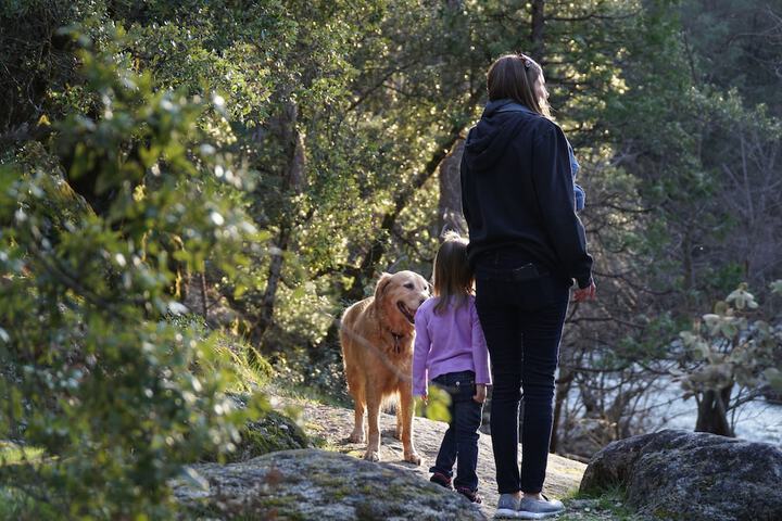 Hiking