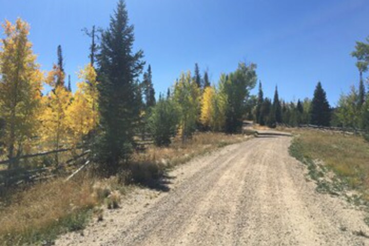 Property Grounds 32 of 39