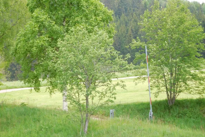 Ferienhaus Grafenhausen