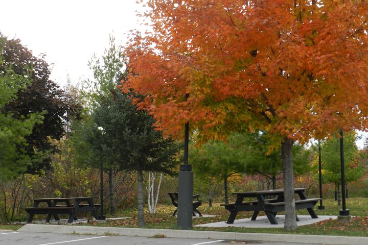 BBQ/picnic area