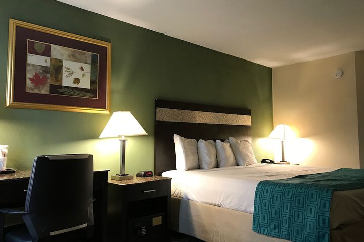 1 King Bed (2 of 11)