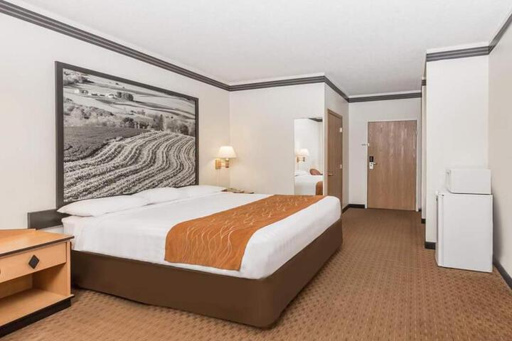 Standard | King Bed (8 of 9)