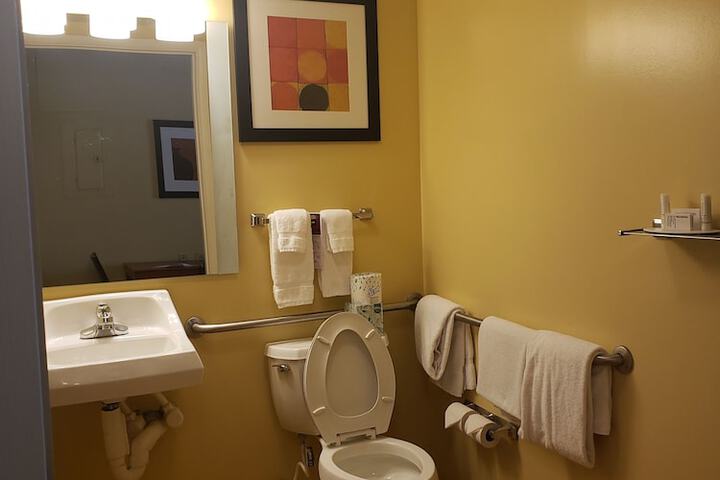 1 Queen Bed Mobility Accessible Hearing Impaired Studio Suite (18 of 23)