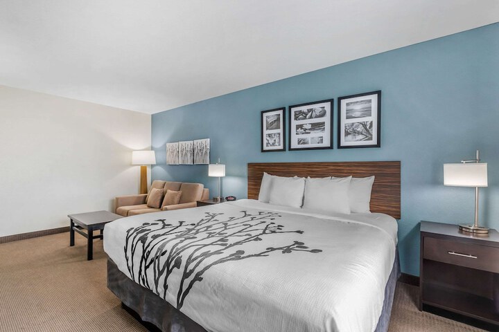 1 King Bed Mobility Accessible (7 of 29)