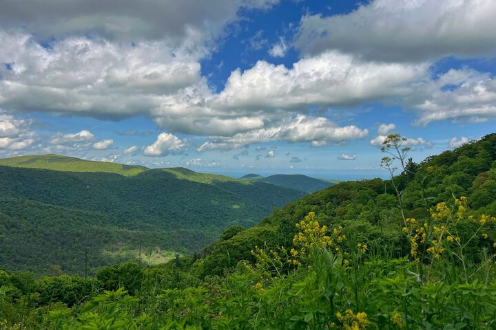 Hiking