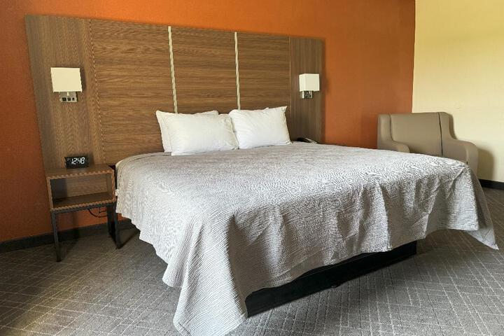 Standard | King Bed (1 of 26)