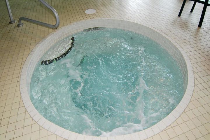 BEST WESTERN PLUS BRAMPTON