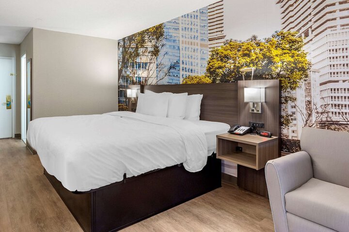 Standard King Bed Accessible (9 of 14)