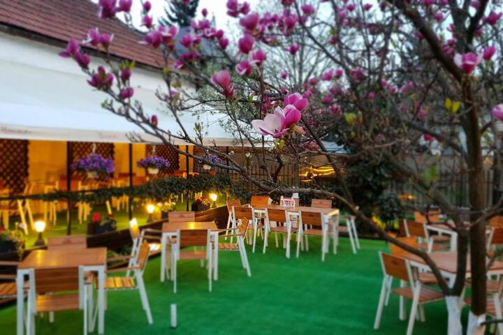 Casa Andreea