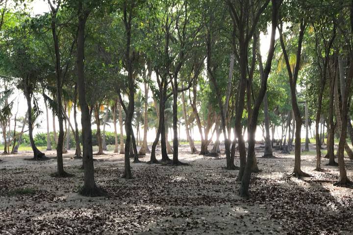 Property Grounds 18 of 34