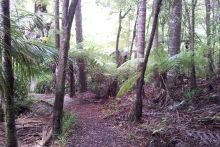 Property Grounds 18 of 24